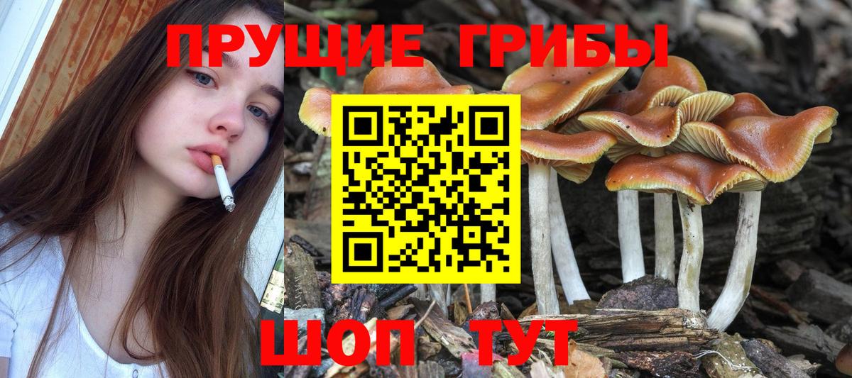 Псилоцибиновые грибы мухоморы  Псилоцибиновые грибы GOLDEN TEACHER  Вход с VPN  Узловая 
