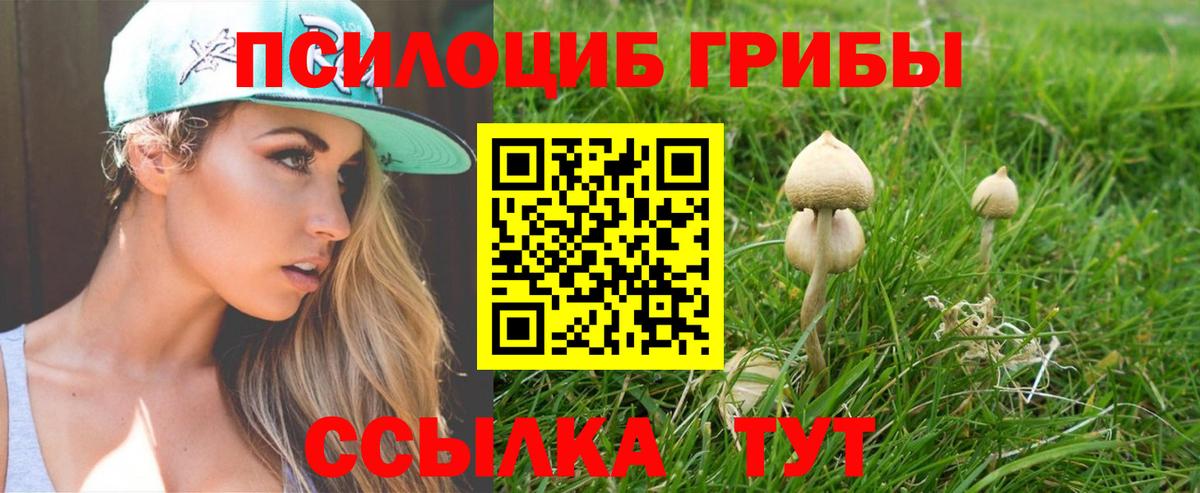 Галлюциногенные грибы мухоморы Узловая