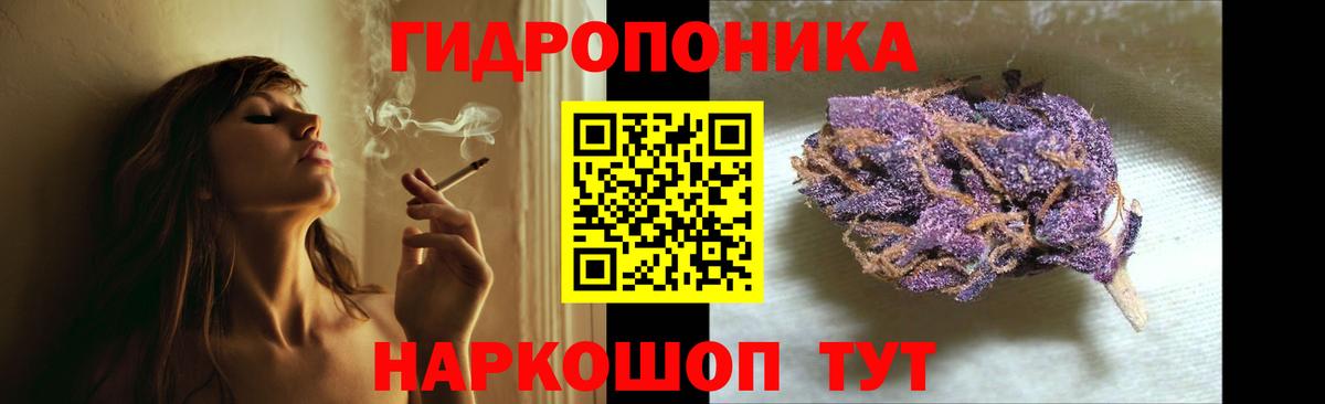 Узловая  Шишки марихуана сатива  Бошки Шишки планчик  Вход с VPN  Шишки марихуана MAZAR  Марихуана конопля 